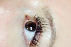 best eyelash extension salon