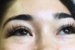 lash extension training