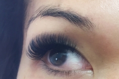 Mega Volume Lashes