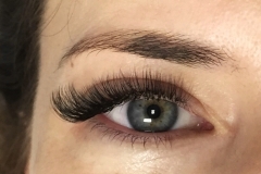 mega volume lashes