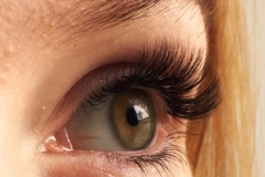 silk eyelash extensions
