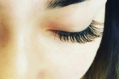 classic lash training