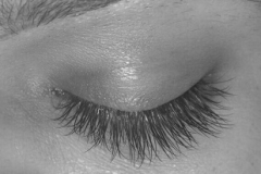 best eyelash extensions around me